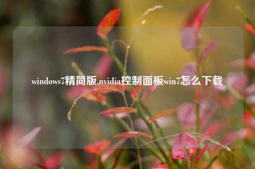 windows7精简版,nvidia控制面板win7怎么下载