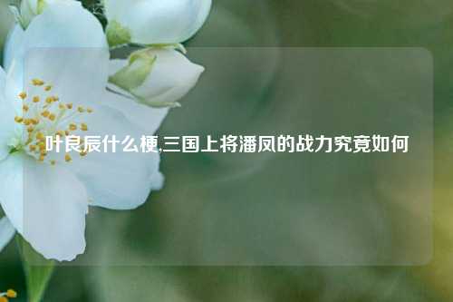 叶良辰什么梗,三国上将潘凤的战力究竟如何