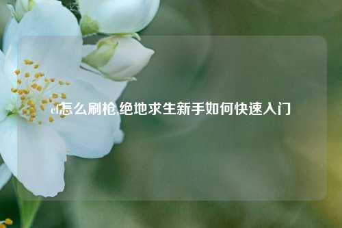 cf怎么刷枪,绝地求生新手如何快速入门