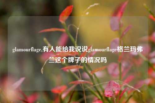 glamourflage,有人能给我说说glamourflage格兰玛弗兰这个牌子的情况吗