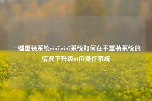 一键重装系统win7,win7系统如何在不重装系统的情况下升级64位操作系统