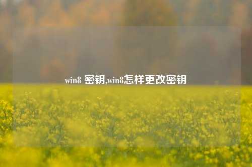 win8 密钥,win8怎样更改密钥