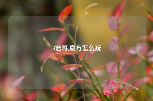 cf浩哥,魔方怎么玩