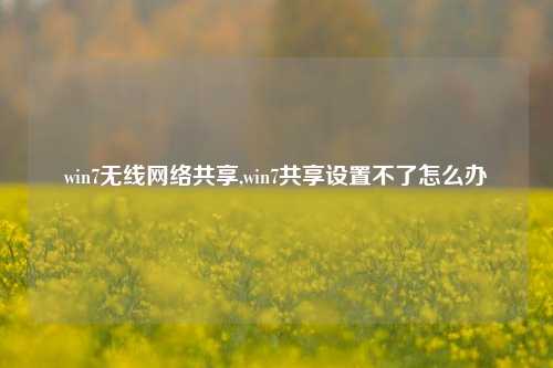 win7无线网络共享,win7共享设置不了怎么办