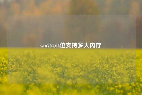 win764,64位支持多大内存