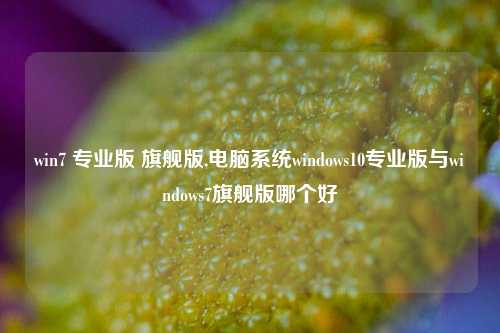 win7 专业版 旗舰版,电脑系统windows10专业版与windows7旗舰版哪个好