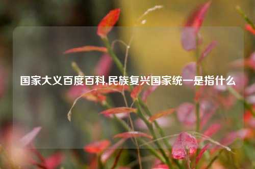 国家大义百度百科,民族复兴国家统一是指什么