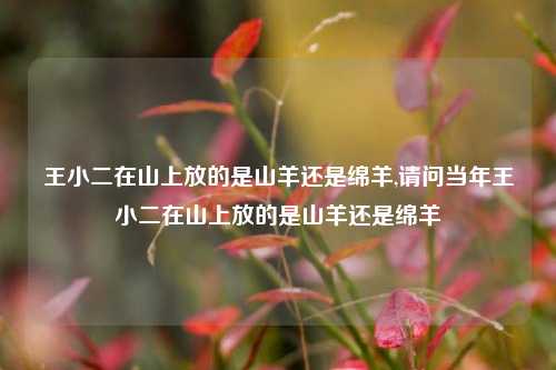 王小二在山上放的是山羊还是绵羊,请问当年王小二在山上放的是山羊还是绵羊
