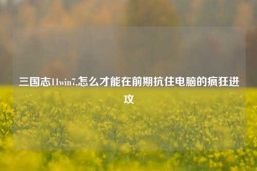 三国志11win7,怎么才能在前期抗住电脑的疯狂进攻