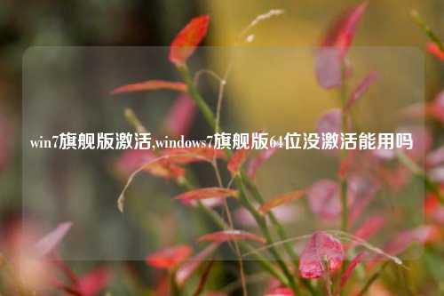 win7旗舰版激活,windows7旗舰版64位没激活能用吗