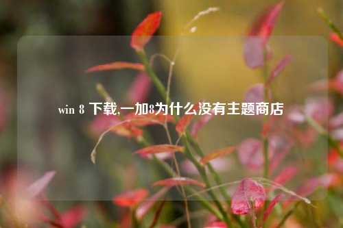 win 8 下载,一加8为什么没有主题商店