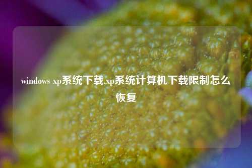 windows xp系统下载,xp系统计算机下载限制怎么恢复
