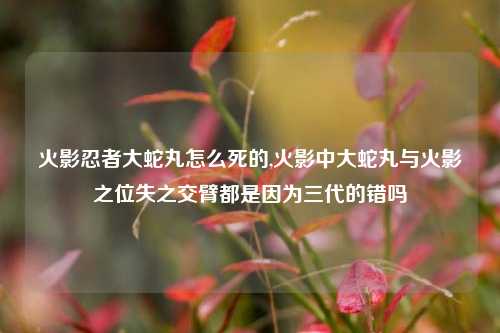 火影忍者大蛇丸怎么死的,火影中大蛇丸与火影之位失之交臂都是因为三代的错吗