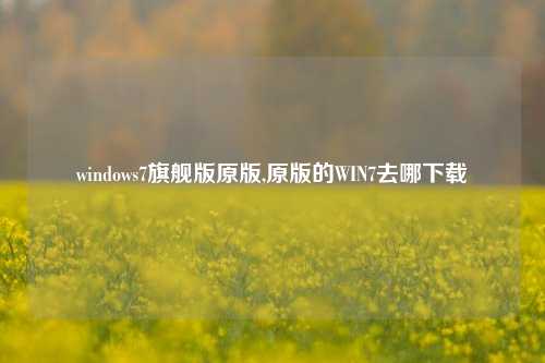 windows7旗舰版原版,原版的WIN7去哪下载