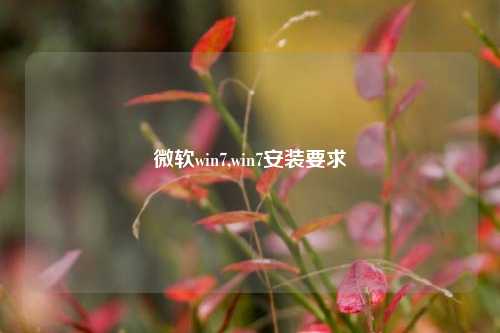 微软win7,win7安装要求