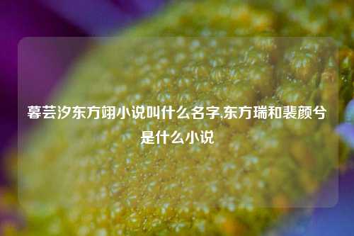 暮芸汐东方翊小说叫什么名字,东方瑞和裴颜兮是什么小说