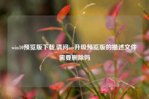 win10预览版下载,请问ios升级预览版的描述文件需要删除吗