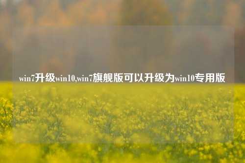 win7升级win10,win7旗舰版可以升级为win10专用版