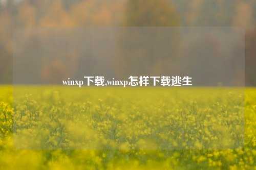 winxp下载,winxp怎样下载逃生