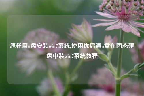 怎样用u盘安装win7系统,使用优启通u盘在固态硬盘中装win7系统教程