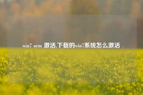 win7 oem 激活,下载的win7系统怎么激活
