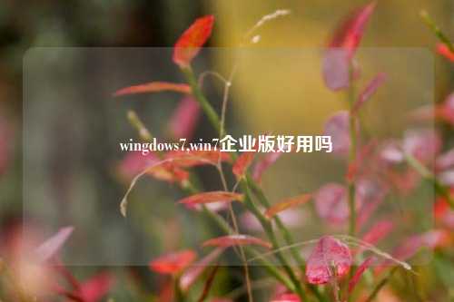 wingdows7,win7企业版好用吗