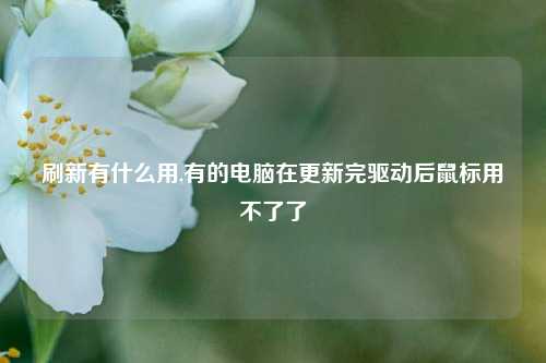 刷新有什么用,有的电脑在更新完驱动后鼠标用不了了