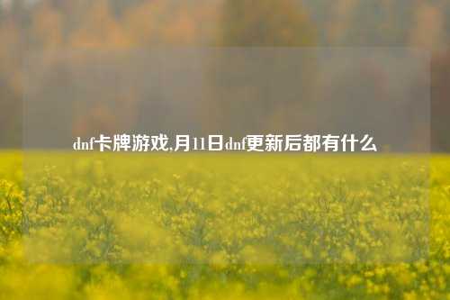 dnf卡牌游戏,月11日dnf更新后都有什么