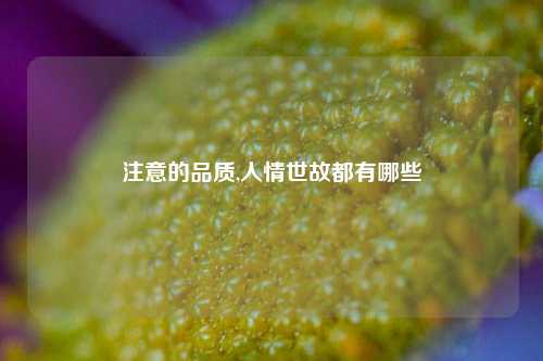 注意的品质,人情世故都有哪些