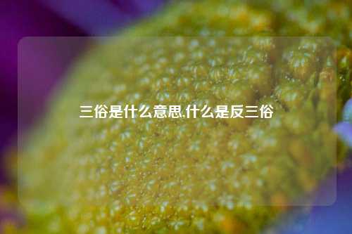 三俗是什么意思,什么是反三俗