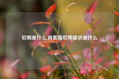 后期是什么,脊索瘤后期症状是什么