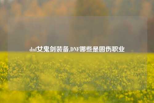 dnf女鬼剑装备,DNF哪些是固伤职业