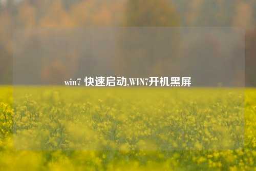 win7 快速启动,WIN7开机黑屏