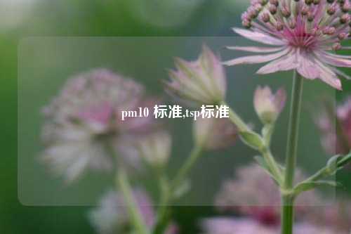 pm10 标准,tsp标准