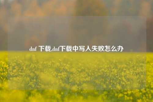 dnf 下载,dnf下载中写入失败怎么办