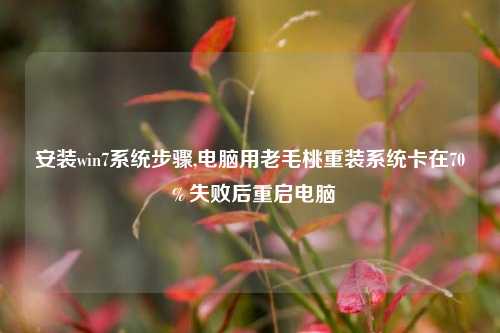 安装win7系统步骤,电脑用老毛桃重装系统卡在70％失败后重启电脑