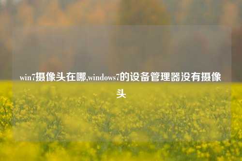 win7摄像头在哪,windows7的设备管理器没有摄像头