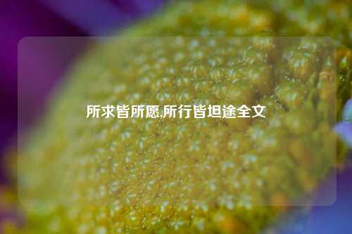 所求皆所愿,所行皆坦途全文