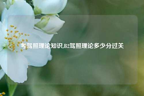 考驾照理论知识,B2驾照理论多少分过关