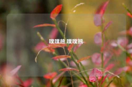 噗噗熊,噗噗熊