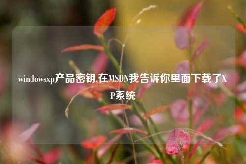 windowsxp产品密钥,在MSDN我告诉你里面下载了XP系统