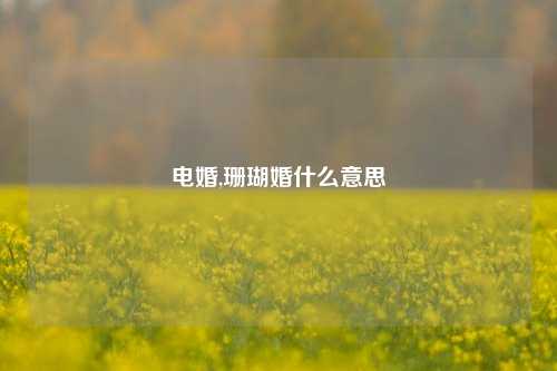 电婚,珊瑚婚什么意思
