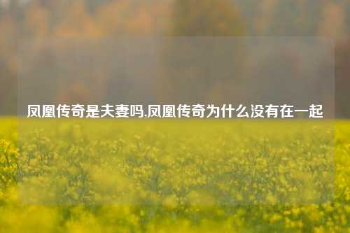 凤凰传奇是夫妻吗,凤凰传奇为什么没有在一起