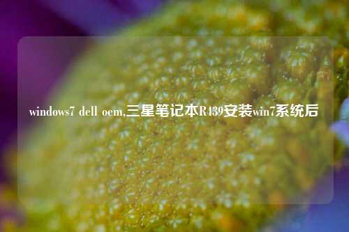 windows7 dell oem,三星笔记本R439安装win7系统后