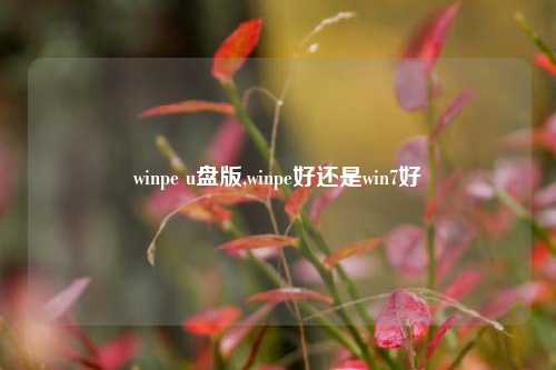 winpe u盘版,winpe好还是win7好