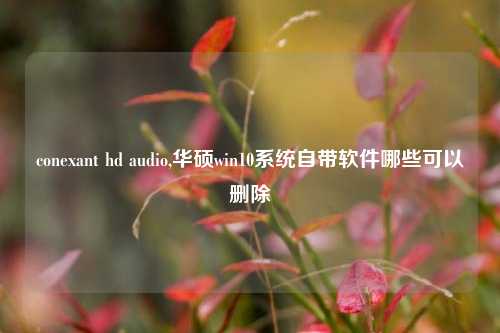 conexant hd audio,华硕win10系统自带软件哪些可以删除
