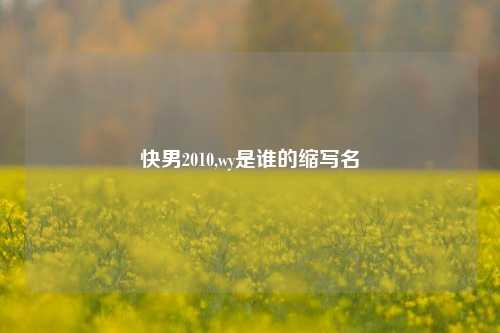 快男2010,wy是谁的缩写名