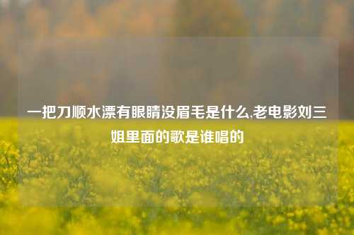 一把刀顺水漂有眼睛没眉毛是什么,老电影刘三姐里面的歌是谁唱的