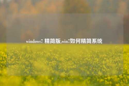 windows7 精简版,win7如何精简系统