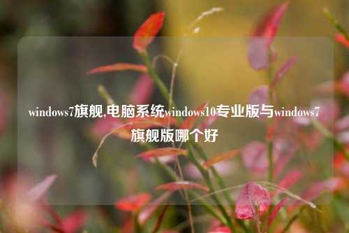 windows7旗舰,电脑系统windows10专业版与windows7旗舰版哪个好